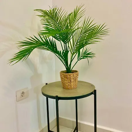 Appartement Jade Exclusives In Americas