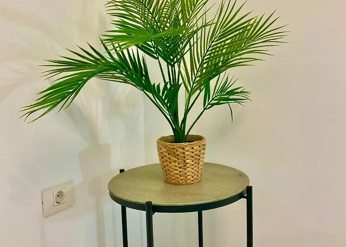 Apartman Jade Exclusives In Americas