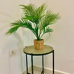 Apartment Jade Exclusives In Americas
